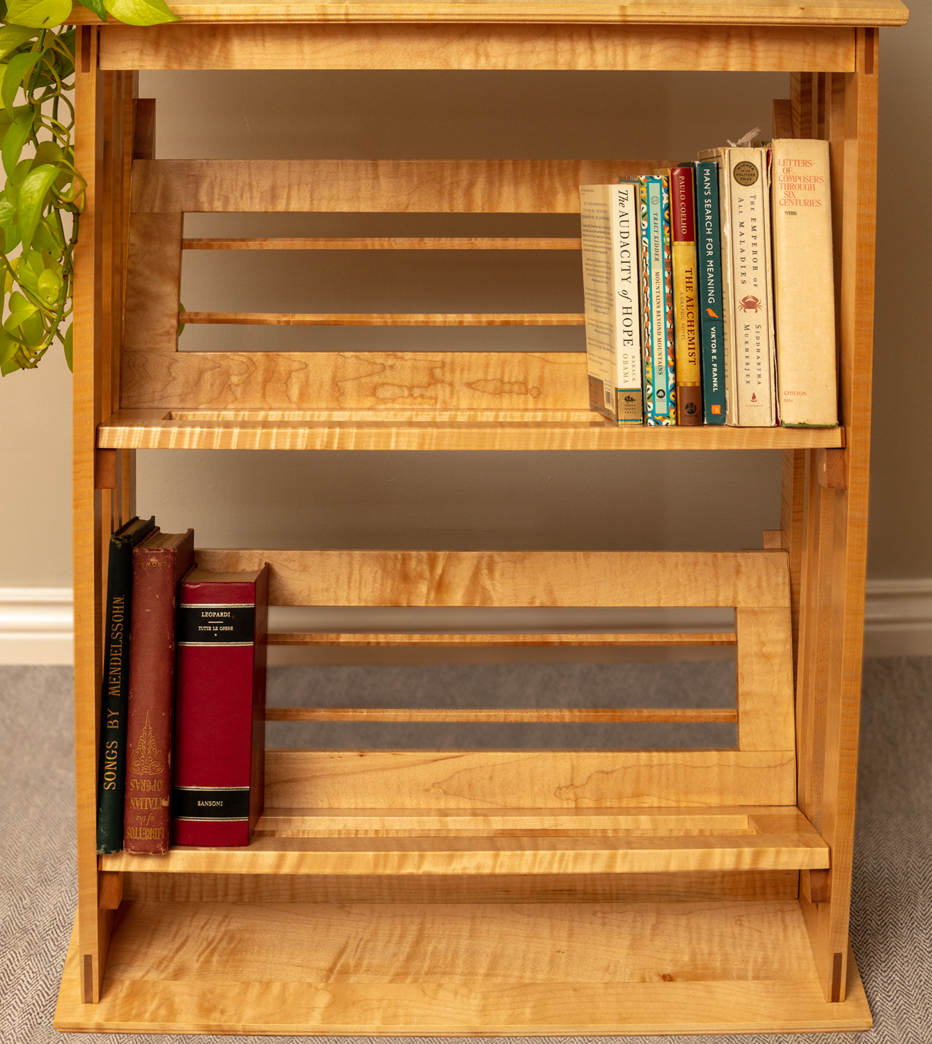 bookshelf closeup frontal